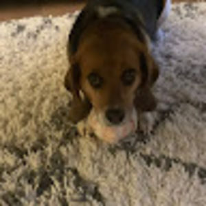 Meet your Posher, Micah